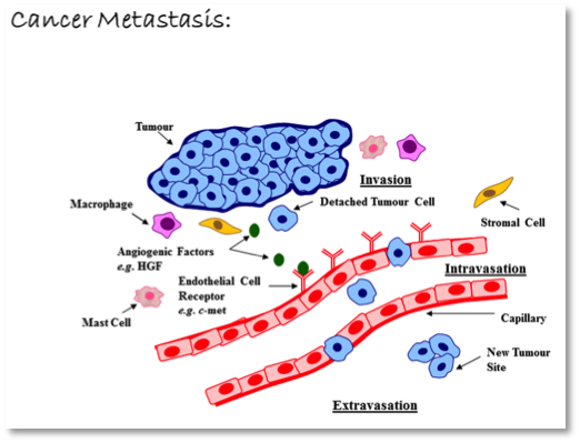 Jiang platform metastasis